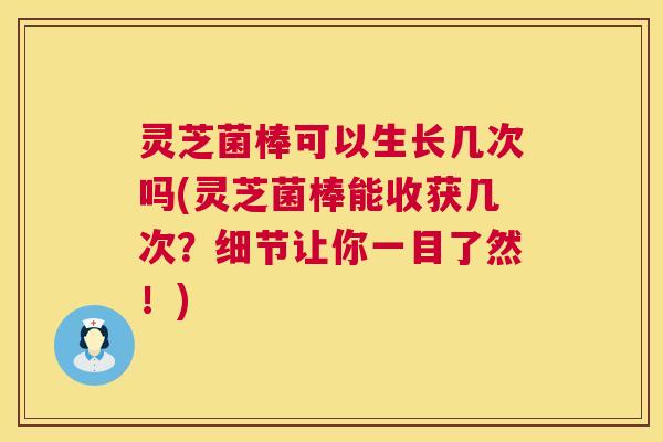 灵芝菌棒可以生长几次吗(灵芝菌棒能收获几次？细节让你一目了然！)  第1张