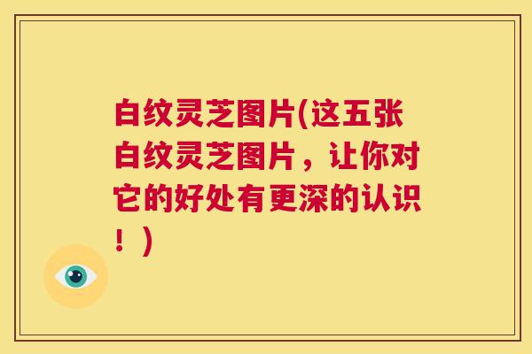 白纹灵芝图片(这五张白纹灵芝图片,让你对它的好处有更深的认识!) 第1张 白纹灵芝图片(这五张白纹灵芝图片,让你对它的好处有更深的认识!) 第1张