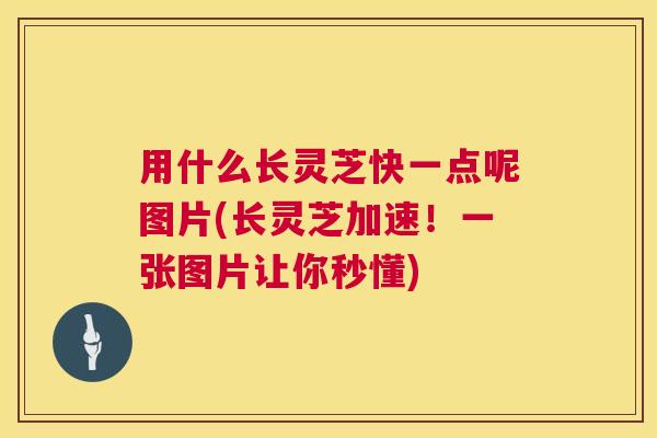用什么长灵芝快一点呢图片(长灵芝加速！一张图片让你秒懂)  第1张