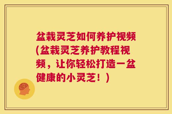 盆栽灵芝如何养护视频(盆栽灵芝养护教程视频，让你轻松打造一盆健康的小灵芝！)  第1张