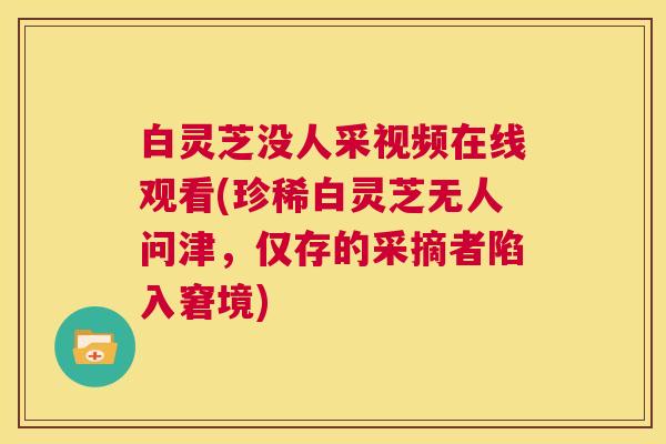 白灵芝没人采视频在线观看(珍稀白灵芝无人问津，仅存的采摘者陷入窘境)  第1张