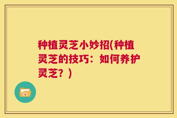 种植灵芝小妙招(种植灵芝的技巧：如何养护灵芝？)  第1张