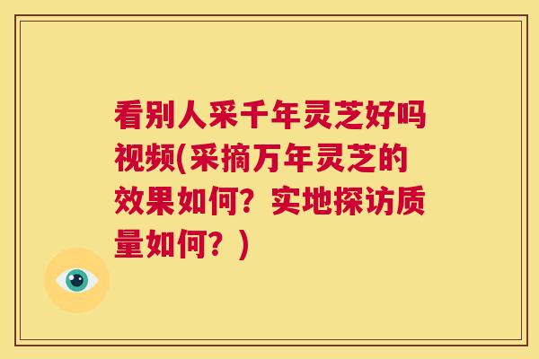 看别人采千年灵芝好吗视频(采摘万年灵芝的效果如何？实地探访质量如何？)  第1张