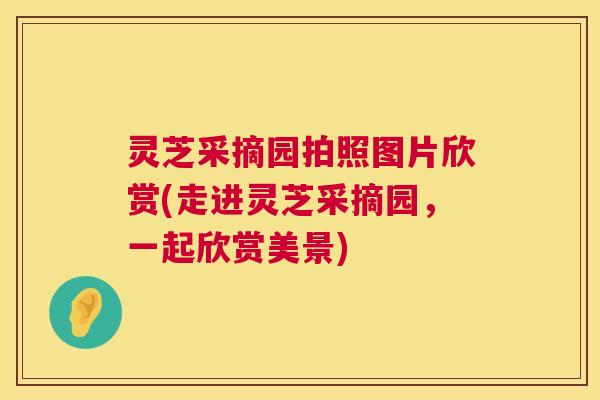 灵芝采摘园拍照图片欣赏(走进灵芝采摘园,一起欣赏美景) 第1张 灵芝采摘园拍照图片欣赏(走进灵芝采摘园,一起欣赏美景) 第1张