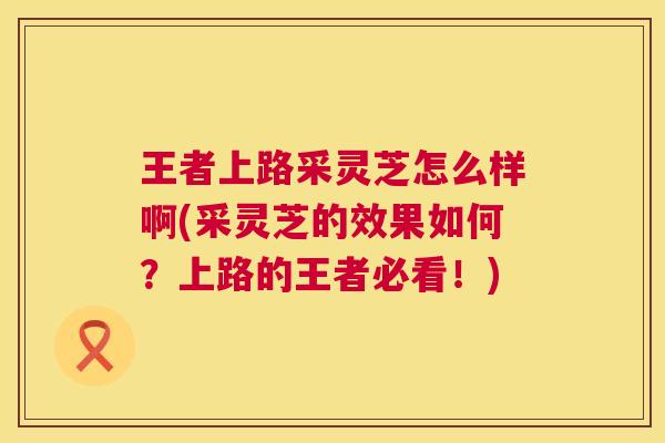 王者上路采灵芝怎么样啊(采灵芝的效果如何？上路的王者必看！)  第1张