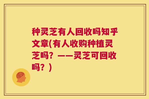 种灵芝有人回收吗知乎文章(有人收购种植灵芝吗？——灵芝可回收吗？)  第1张