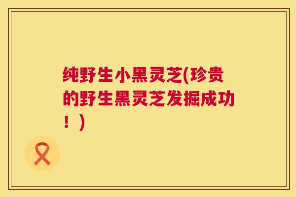 纯野生小黑灵芝(珍贵的野生黑灵芝发掘成功！)  第1张