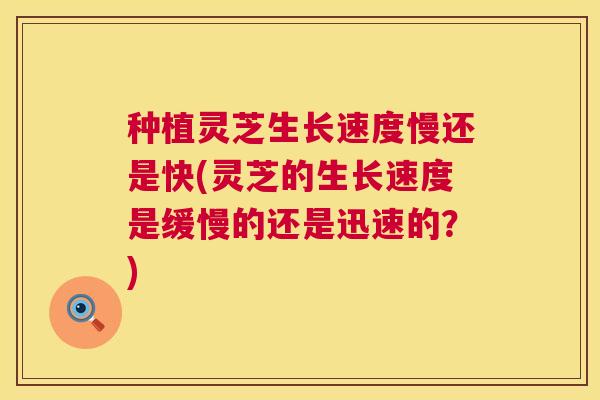 种植灵芝生长速度慢还是快(灵芝的生长速度是缓慢的还是迅速的?) 第1张 种植灵芝生长速度慢还是快(灵芝的生长速度是缓慢的还是迅速的?) 第1张