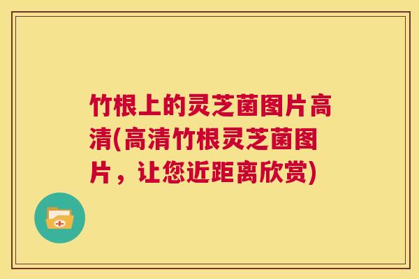 竹根上的灵芝菌图片高清(高清竹根灵芝菌图片,让您近距离欣赏) 第1张 竹根上的灵芝菌图片高清(高清竹根灵芝菌图片,让您近距离欣赏) 第1张