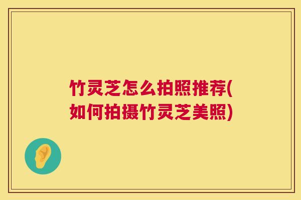 竹灵芝怎么拍照推荐(如何拍摄竹灵芝美照) 第1张 竹灵芝怎么拍照推荐(如何拍摄竹灵芝美照) 第1张