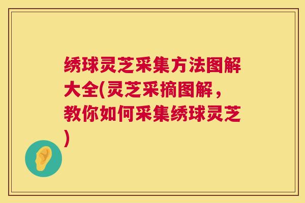 绣球灵芝采集方法图解大全(灵芝采摘图解，教你如何采集绣球灵芝)  第1张