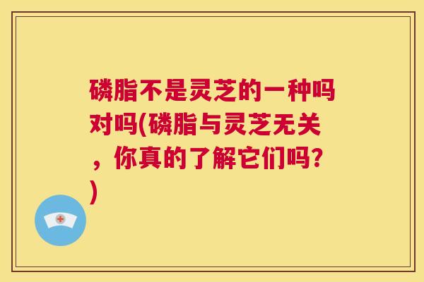 磷脂不是灵芝的一种吗对吗(磷脂与灵芝无关,你真的了解它们吗?) 第1张 磷脂不是灵芝的一种吗对吗(磷脂与灵芝无关,你真的了解它们吗?) 第1张