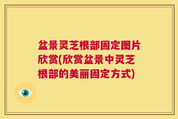 盆景灵芝根部固定图片欣赏(欣赏盆景中灵芝根部的美丽固定方式) 第1张 盆景灵芝根部固定图片欣赏(欣赏盆景中灵芝根部的美丽固定方式) 第1张