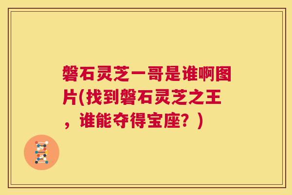 磐石灵芝一哥是谁啊图片(找到磐石灵芝之王，谁能夺得宝座？)  第1张