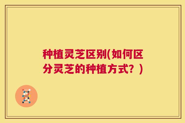 种植灵芝区别(如何区分灵芝的种植方式？)  第1张