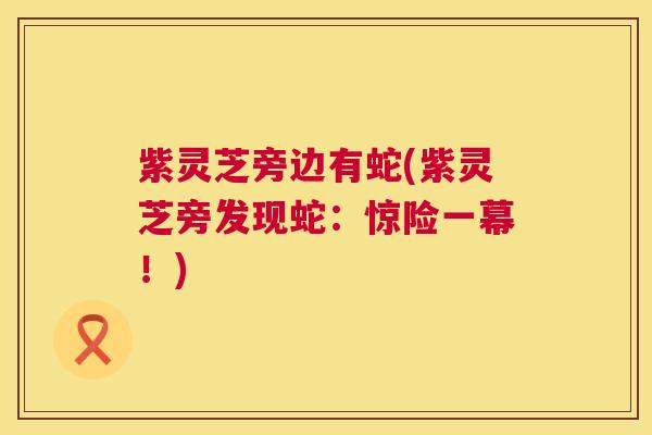 紫灵芝旁边有蛇(紫灵芝旁发现蛇：惊险一幕！)  第1张