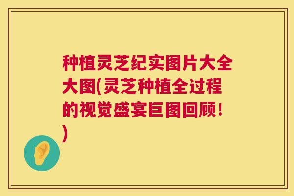 种植灵芝纪实图片大全大图(灵芝种植全过程的视觉盛宴巨图回顾！)  第1张