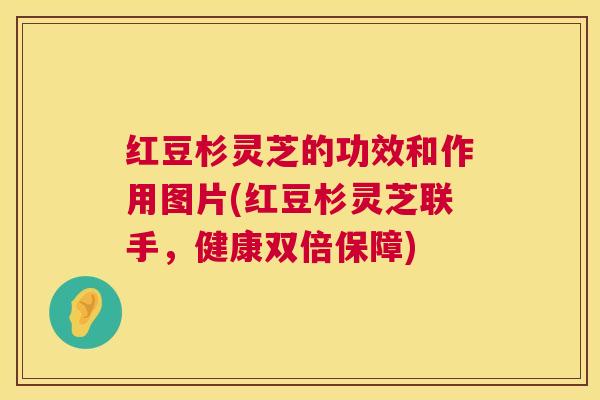 红豆杉灵芝的功效和作用图片(红豆杉灵芝联手，健康双倍保障)  第1张