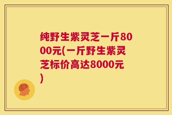 纯野生紫灵芝一斤8000元(一斤野生紫灵芝标价高达8000元) 第1张 纯野生紫灵芝一斤8000元(一斤野生紫灵芝标价高达8000元) 第1张