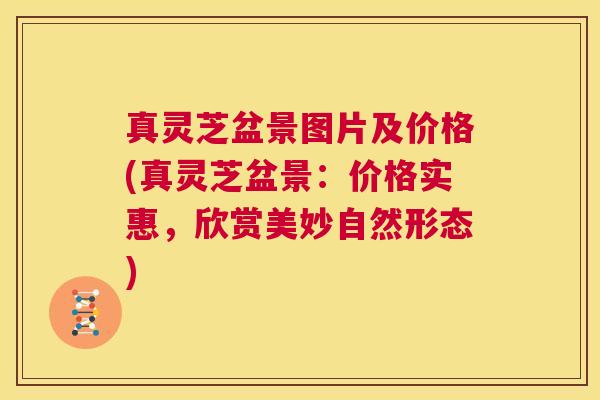 真灵芝盆景图片及价格(真灵芝盆景:价格实惠,欣赏美妙自然形态) 第1张 真灵芝盆景图片及价格(真灵芝盆景:价格实惠,欣赏美妙自然形态) 第1张