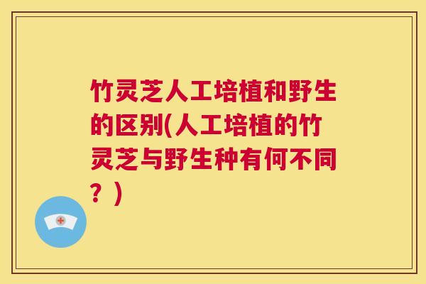 竹灵芝人工培植和野生的区别(人工培植的竹灵芝与野生种有何不同?) 第1张 竹灵芝人工培植和野生的区别(人工培植的竹灵芝与野生种有何不同?) 第1张