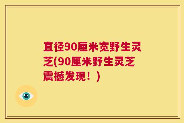 直径90厘米宽野生灵芝(90厘米野生灵芝震撼发现！)  第1张