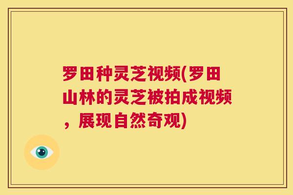 罗田种灵芝视频(罗田山林的灵芝被拍成视频,展现自然奇观) 第1张 罗田种灵芝视频(罗田山林的灵芝被拍成视频,展现自然奇观) 第1张