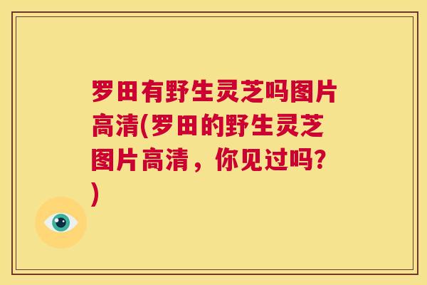 罗田有野生灵芝吗图片高清(罗田的野生灵芝图片高清，你见过吗？)  第1张