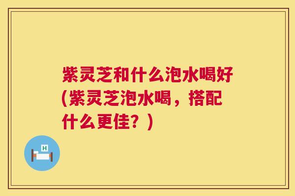 紫灵芝和什么泡水喝好(紫灵芝泡水喝，搭配什么更佳？)  第1张