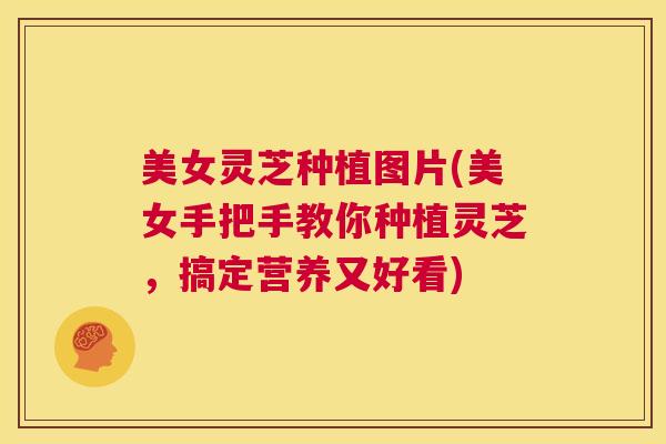 美女灵芝种植图片(美女手把手教你种植灵芝，搞定营养又好看)  第1张