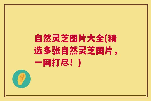 自然灵芝图片大全(精选多张自然灵芝图片,一网打尽!) 第1张 自然灵芝图片大全(精选多张自然灵芝图片,一网打尽!) 第1张