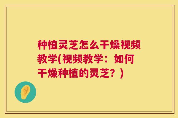 种植灵芝怎么干燥视频教学(视频教学：如何干燥种植的灵芝？)  第1张