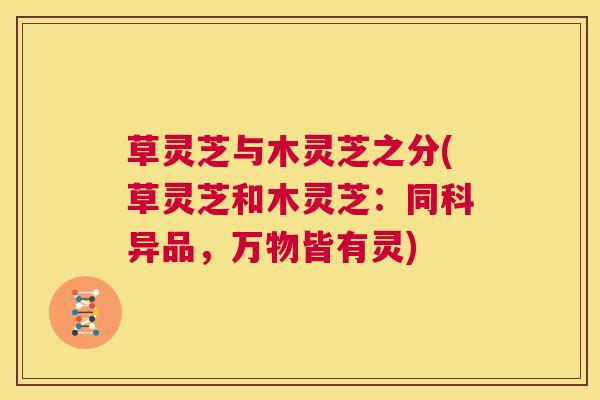 草灵芝与木灵芝之分(草灵芝和木灵芝：同科异品，万物皆有灵)  第1张