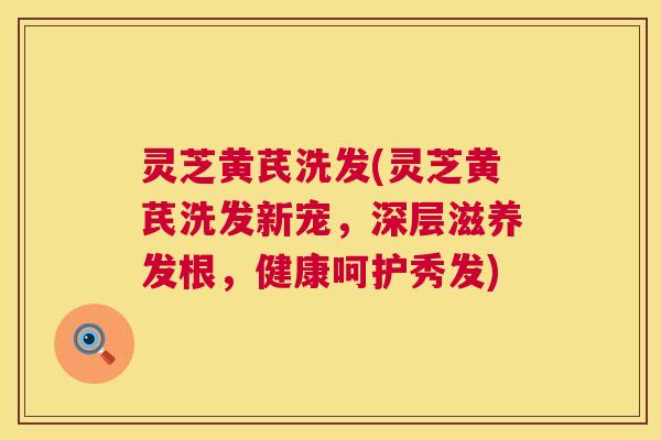 灵芝黄芪洗发(灵芝黄芪洗发新宠，深层滋养发根，健康呵护秀发)  第1张