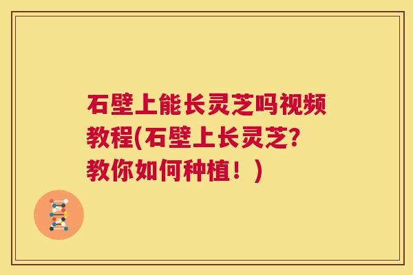 石壁上能长灵芝吗视频教程(石壁上长灵芝?教你如何种植!) 第1张 石壁上能长灵芝吗视频教程(石壁上长灵芝?教你如何种植!) 第1张