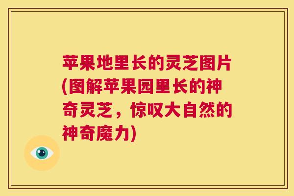 苹果地里长的灵芝图片(图解苹果园里长的神奇灵芝,惊叹大自然的神奇魔力) 第1张 苹果地里长的灵芝图片(图解苹果园里长的神奇灵芝,惊叹大自然的神奇魔力) 第1张