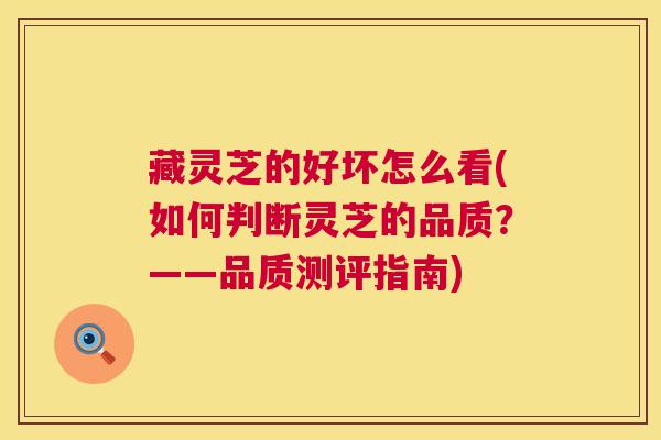 藏灵芝的好坏怎么看(如何判断灵芝的品质？——品质测评指南)  第1张