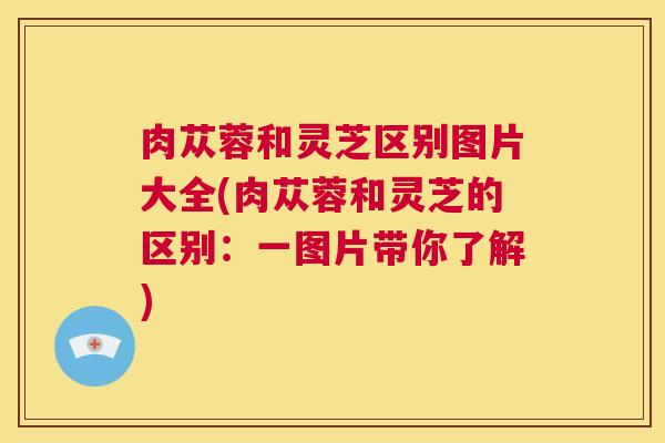 肉苁蓉和灵芝区别图片大全(肉苁蓉和灵芝的区别:一图片带你了解) 第1张 肉苁蓉和灵芝区别图片大全(肉苁蓉和灵芝的区别:一图片带你了解) 第1张