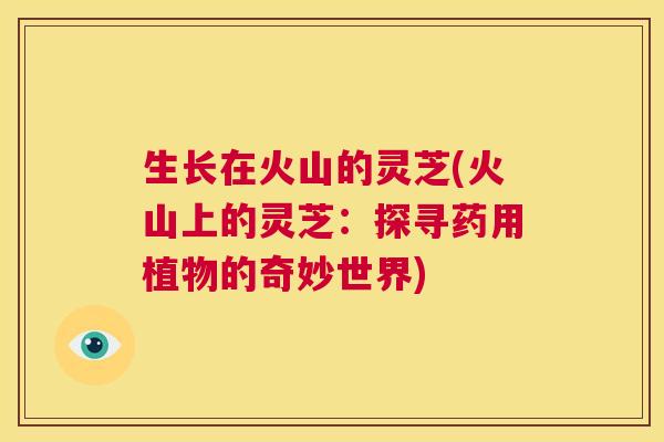生长在火山的灵芝(火山上的灵芝：探寻药用植物的奇妙世界)  第1张