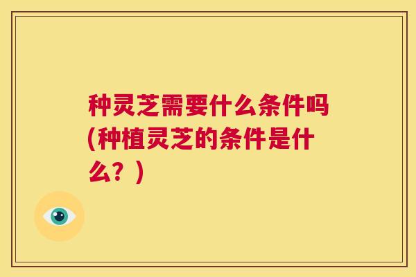 种灵芝需要什么条件吗(种植灵芝的条件是什么?) 第1张 种灵芝需要什么条件吗(种植灵芝的条件是什么?) 第1张