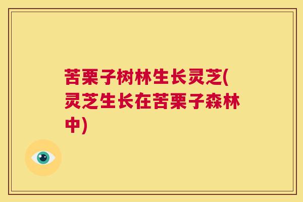 苦栗子树林生长灵芝(灵芝生长在苦栗子森林中)  第1张