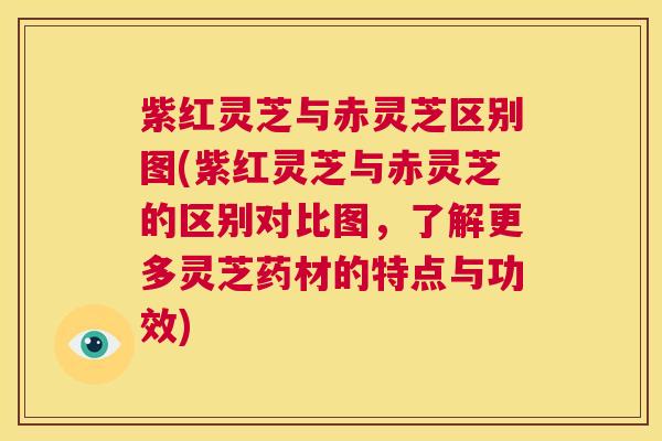紫红灵芝与赤灵芝区别图(紫红灵芝与赤灵芝的区别对比图,了解更多灵芝药材的特点与功效) 第1张 紫红灵芝与赤灵芝区别图(紫红灵芝与赤灵芝的区别对比图,了解更多灵芝药材的特点与功效) 第1张