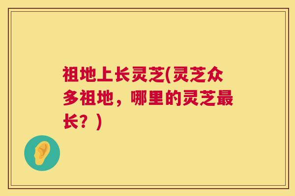 祖地上长灵芝(灵芝众多祖地，哪里的灵芝最长？)  第1张