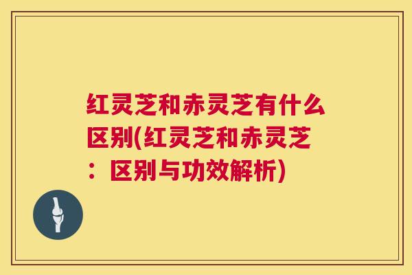 红灵芝和赤灵芝有什么区别(红灵芝和赤灵芝:区别与功效解析) 第1张 红灵芝和赤灵芝有什么区别(红灵芝和赤灵芝:区别与功效解析) 第1张
