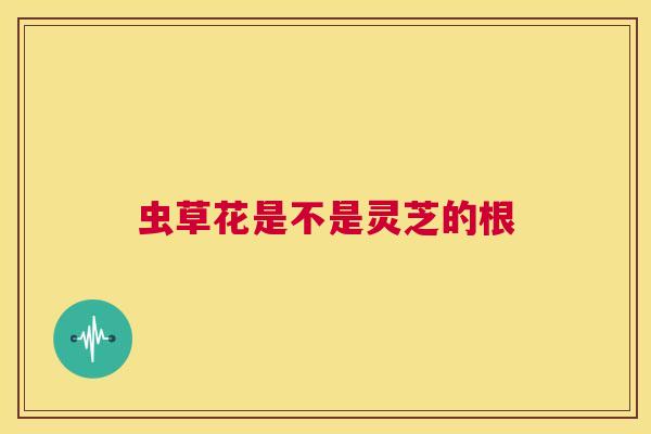 虫草花是不是灵芝的根 第1张 虫草花是不是灵芝的根 第1张