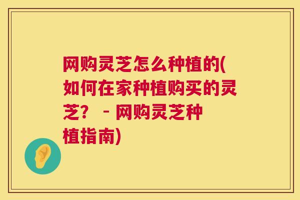 网购灵芝怎么种植的(如何在家种植购买的灵芝? - 网购灵芝种植指南) 第1张 网购灵芝怎么种植的(如何在家种植购买的灵芝? - 网购灵芝种植指南) 第1张