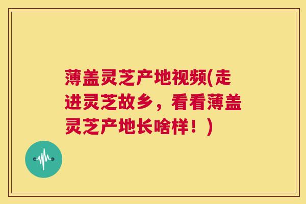 薄盖灵芝产地视频(走进灵芝故乡,看看薄盖灵芝产地长啥样!) 第1张 薄盖灵芝产地视频(走进灵芝故乡,看看薄盖灵芝产地长啥样!) 第1张