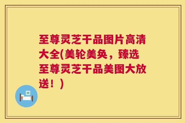 至尊灵芝干品图片高清大全(美轮美奂，臻选至尊灵芝干品美图大放送！)  第1张