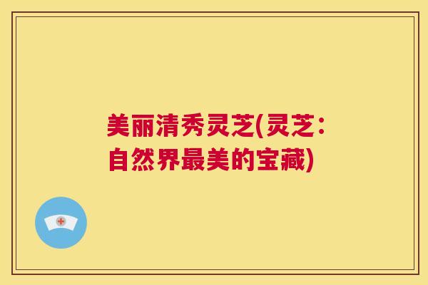 美丽清秀灵芝(灵芝：自然界最美的宝藏)  第1张