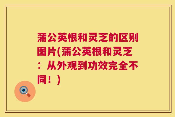 蒲公英根和灵芝的区别图片(蒲公英根和灵芝：从外观到功效完全不同！)  第1张